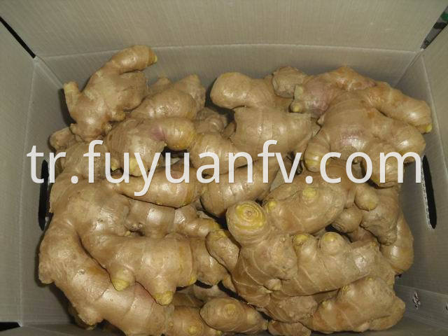 air dried ginger 